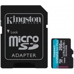 Carte mémoire microSD Plus...