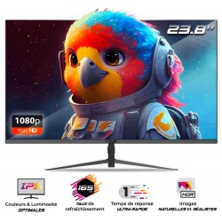 Moniteur Led Full HD 24" -...