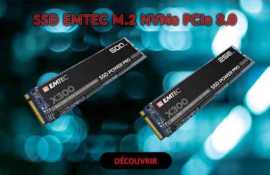 SSD EMTEC M.2 X300
